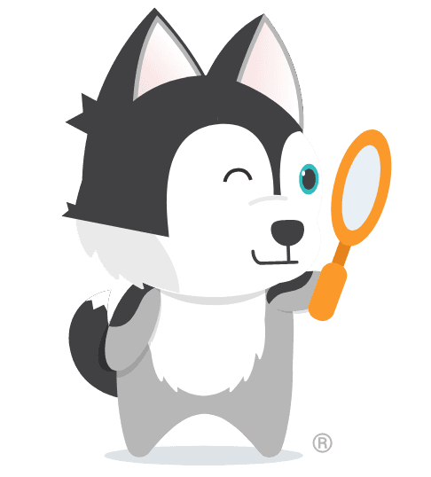 Dog with magnifying glass