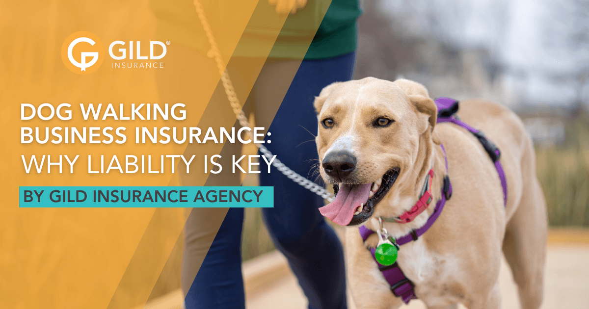 A person walking a dog with dog walking business insurance