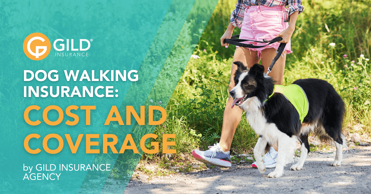 A woman walking a dog thinking about dog walking insurance cost
