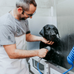 Dog Grooming