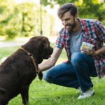 Dog Trainer