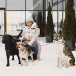 Dog Walking